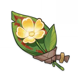 何人所珍藏之花